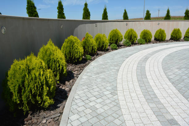 Best Residential Driveway Paver Services  in Pittsboro, NC